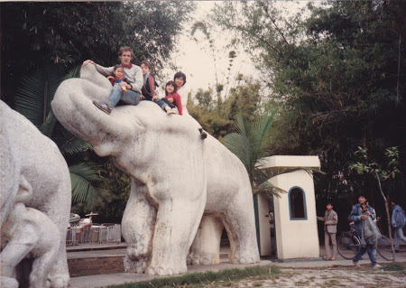 elephant climbing